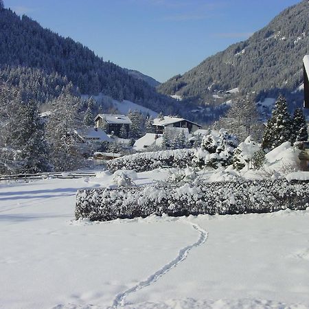 Haralds Ferienwohnungen Bad Kleinkirchheim Bilik gambar