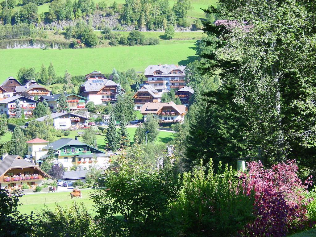 Haralds Ferienwohnungen Bad Kleinkirchheim Bilik gambar